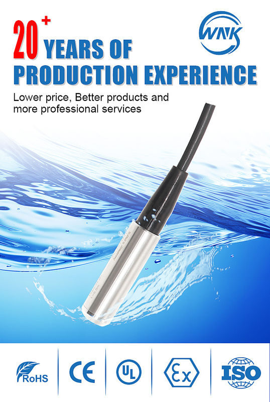 Submersible Water Level Sensor with 0-1~200 MH2O Range and 12-36V Power Supply