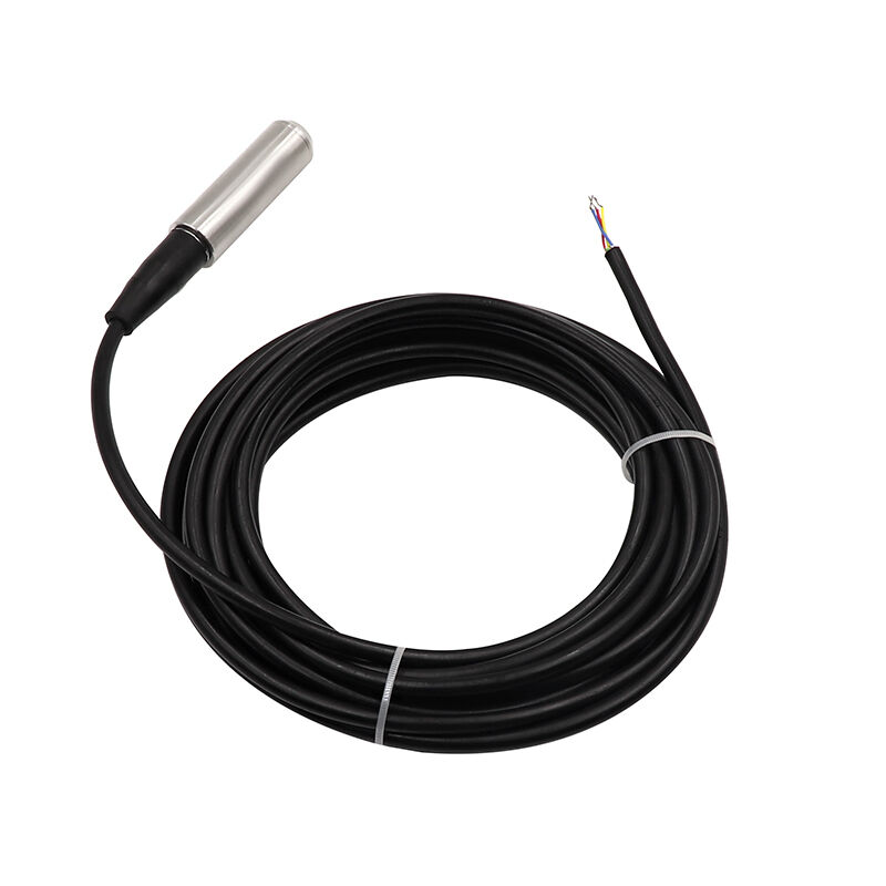 Explosion Proof Submersible Water Level Sensor 4-20mA/0-10V/0-3.3V RS485 Output