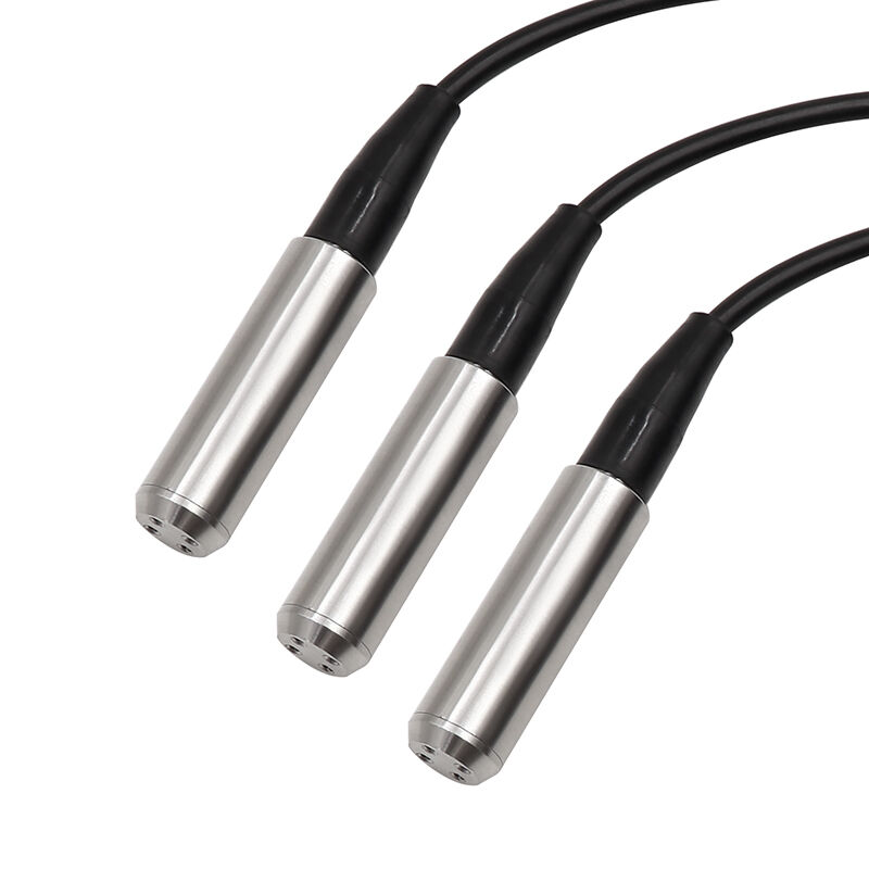 WNK 4~20mA 0-10V RS485 Stainless Steel Water Tank Level Sensor for Rivers and Lakes