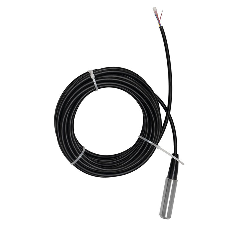 Atex Explosion Proof IP68 4-20ma 0-10V RS485 Output Submersible Water Level Sensors for Water and Diesel
